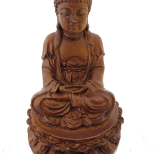 Boeddha in meditatie