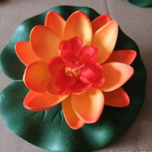 Drijvende lotus bloem oranje boeddha