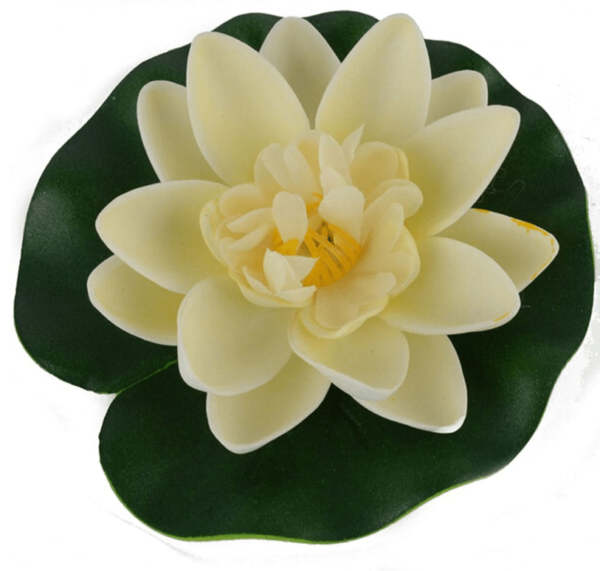 Drijvende lotus bloem wit Alle producten boeddha