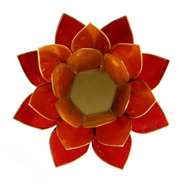 Lotus sfeerlicht 3-kleurig goudrand 13,5 cm boeddhisme