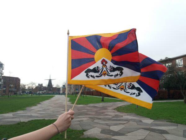 Kleine Tibetaanse vlag op stok banner