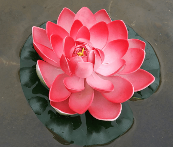 Drijvende Lotus Bloem – Rood Roze – 18 cm boeddha