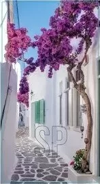 Tuinposter – Outdoor Poster – Straatje Wit Lila – 70 x 130 cm outdoor poster