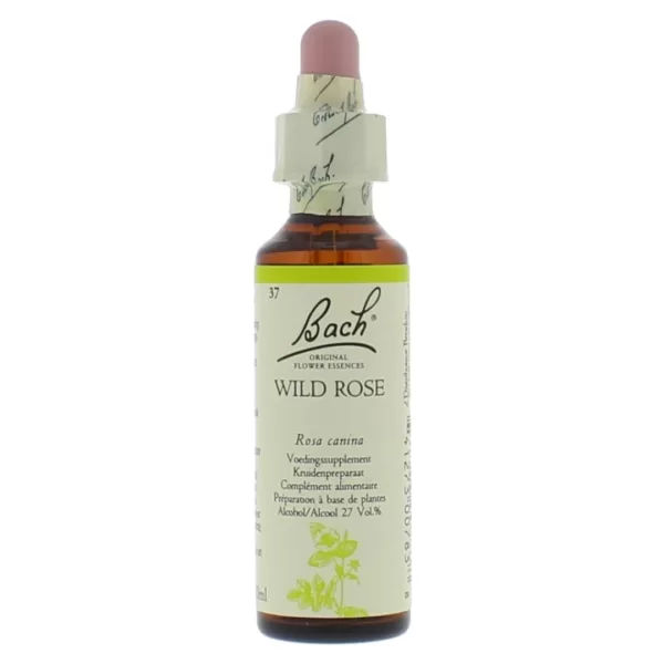 Bach Bloesem No 37 Wild Rose – Flesje 20 ml bach bloesem consult