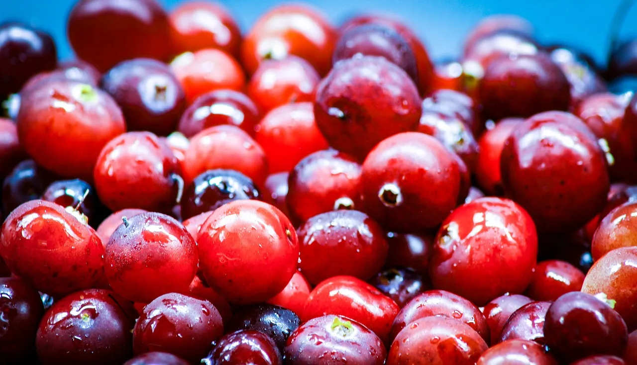De Voordelen van Cranberry